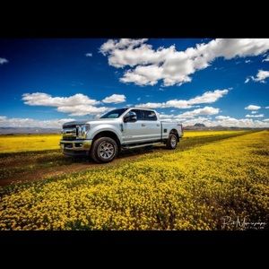 Meet your Posher, Rob